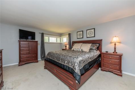 10710 Cardinal Lane Brecksville OH 44141