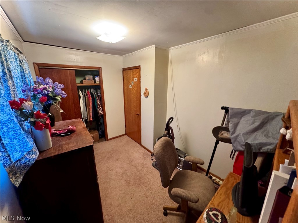713 Kale Adams Road Leavittsburg OH 44430
