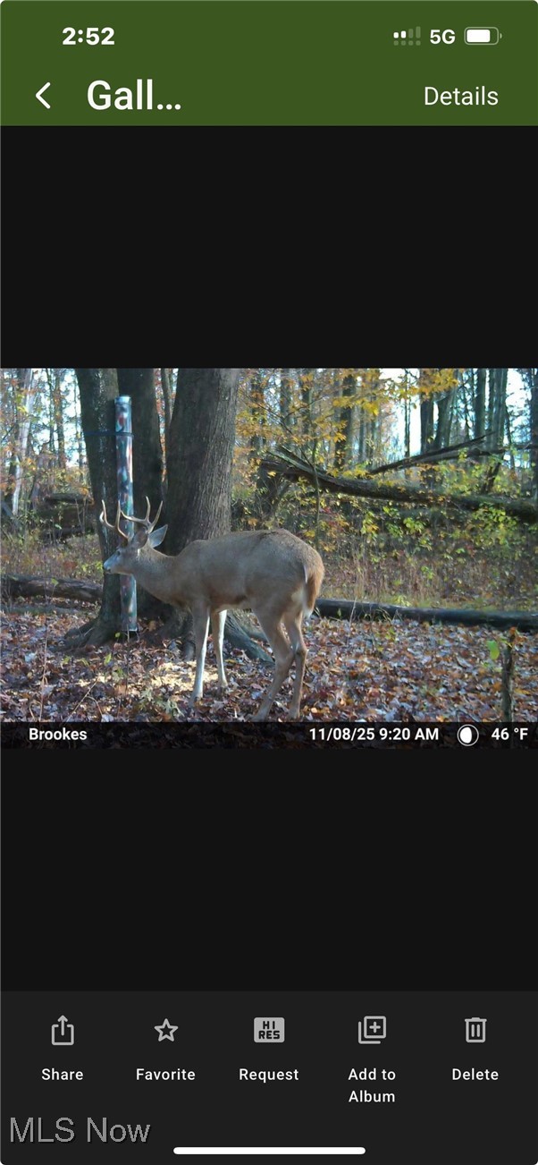 7631 Mines Road SE Howland OH 44484