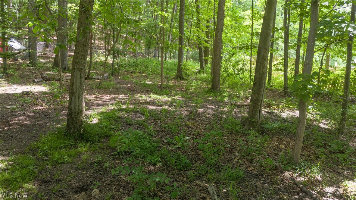 2166 Dow Drive Akron OH 44313