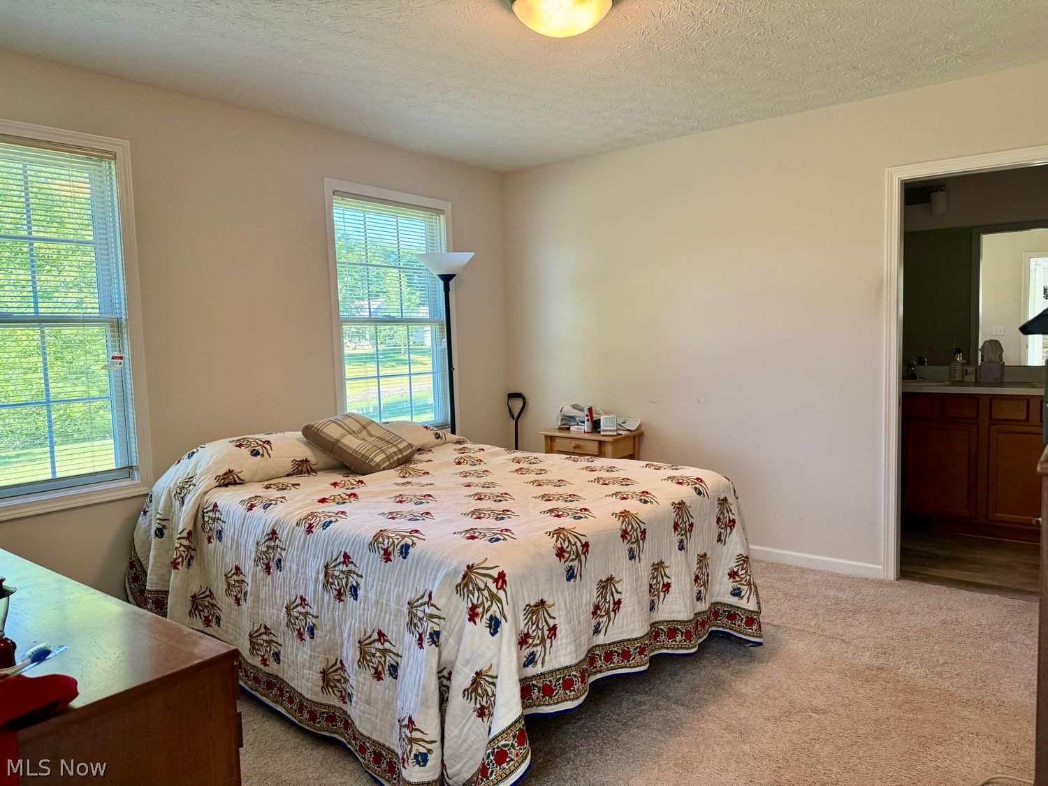 1132 Hunting Hollow Grafton OH 44044