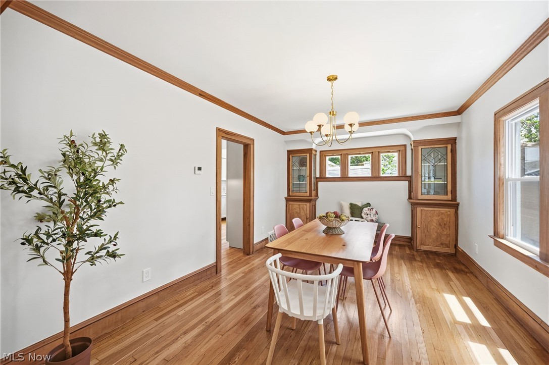 1605 Lewis Drive Lakewood OH 44107