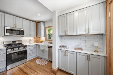 1605 Lewis Drive Lakewood OH 44107