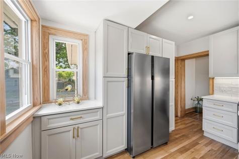 1605 Lewis Drive Lakewood OH 44107
