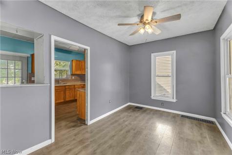 104 High Street Lodi OH 44254