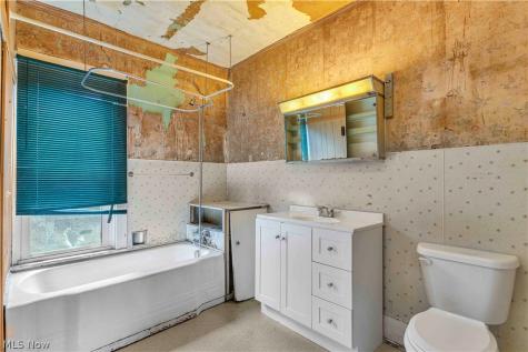 104 High Street Lodi OH 44254
