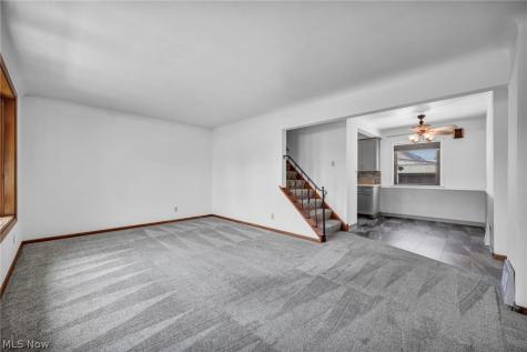 3929 E 365th Street Willoughby OH 44094