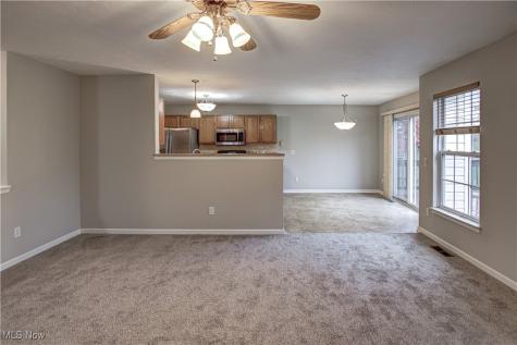 3335 Sleepy Hollow Road Brunswick OH 44212