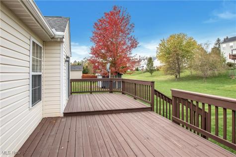 3335 Sleepy Hollow Road Brunswick OH 44212