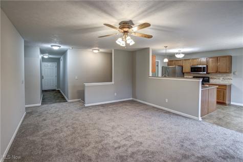 3335 Sleepy Hollow Road Brunswick OH 44212