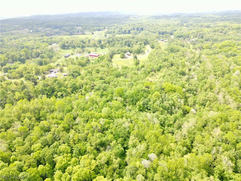 49222 Taylor Road Negley OH 44441