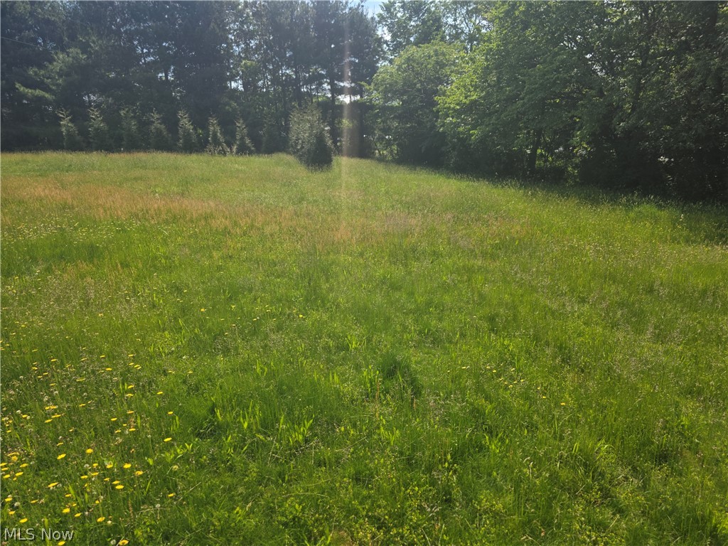49222 Taylor Road Negley OH 44441