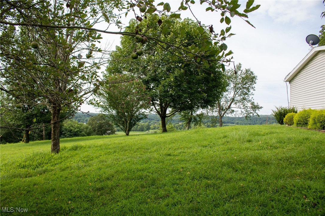 61691 Wintergreen Road Lore City OH 43755