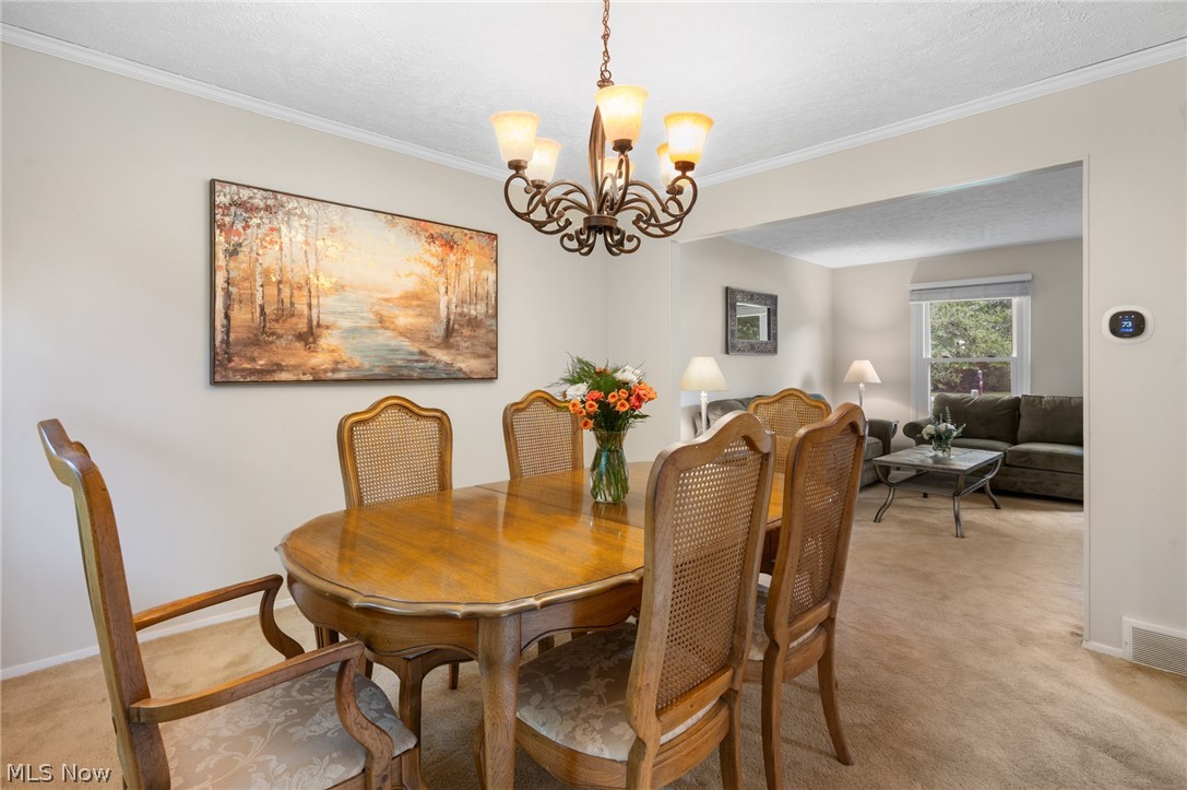 5082 Cheswick Drive Solon OH 44139