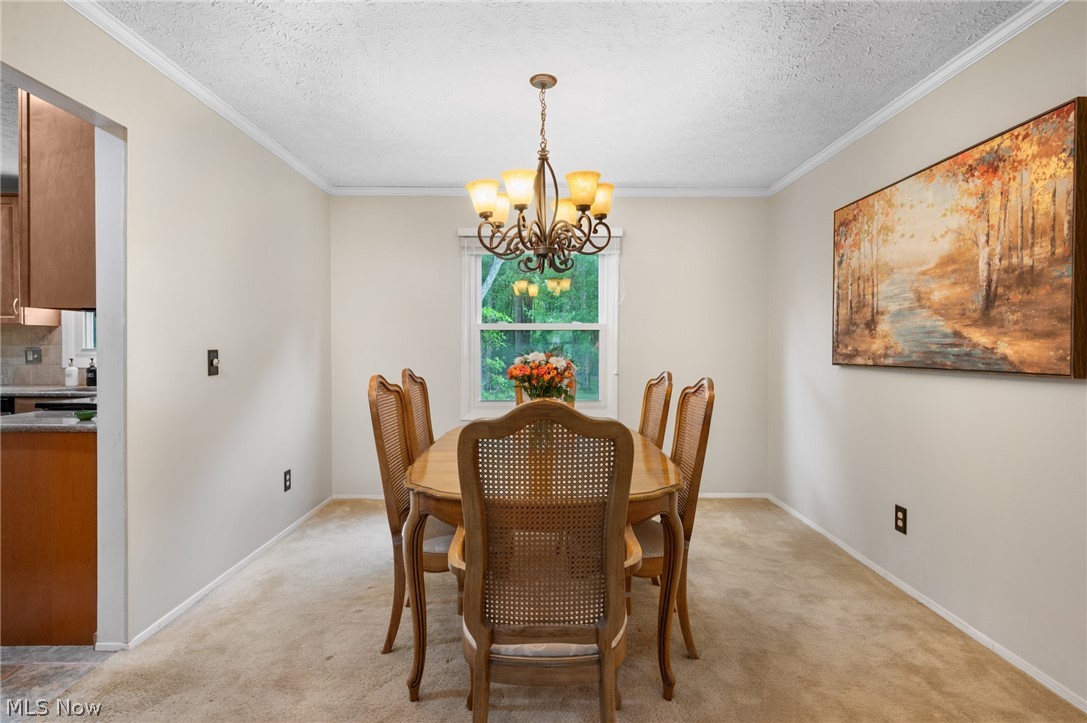 5082 Cheswick Drive Solon OH 44139