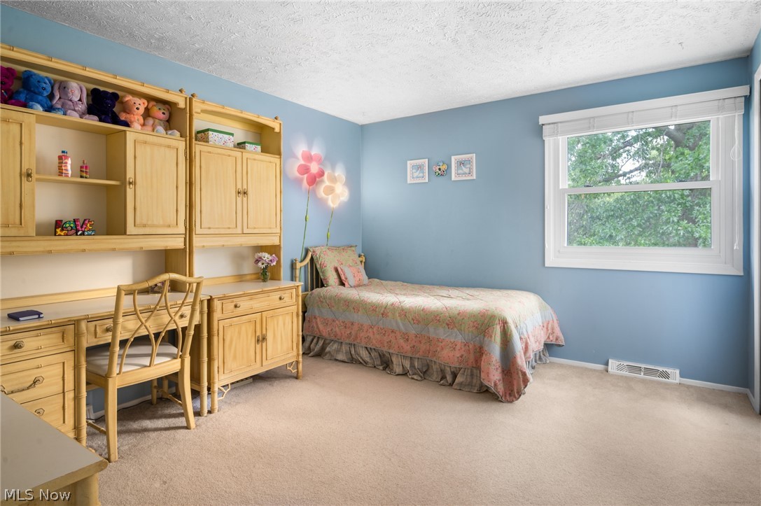 5082 Cheswick Drive Solon OH 44139
