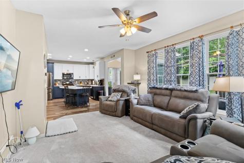 137 Colonial Drive Painesville OH 44077