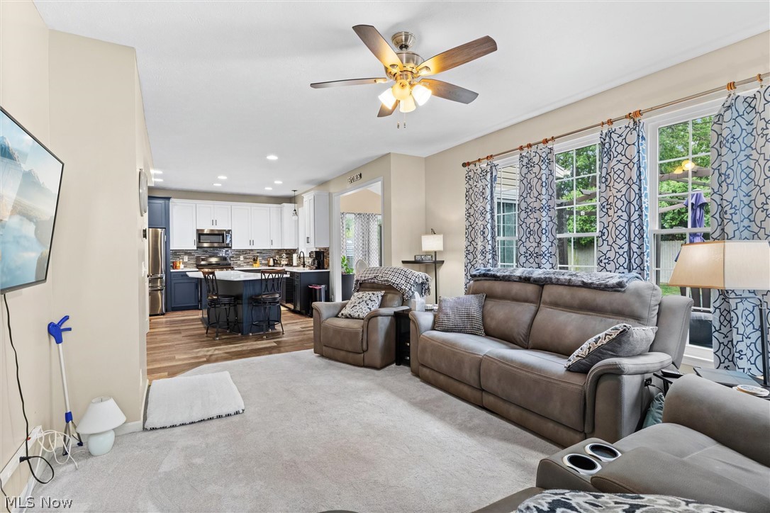 137 Colonial Drive Painesville OH 44077
