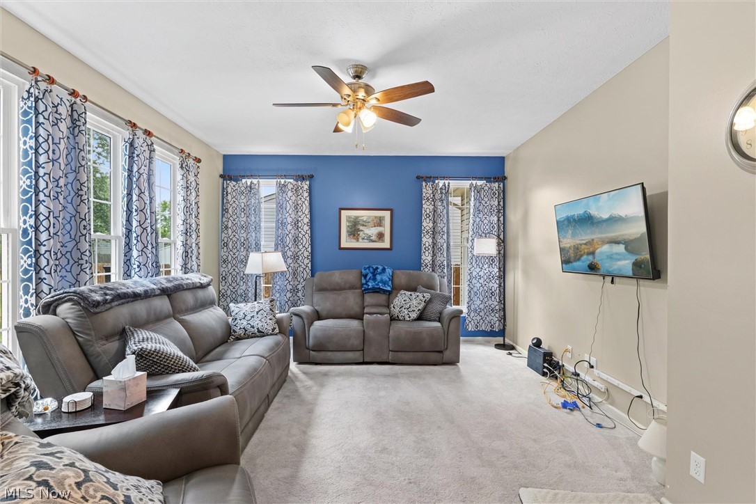 137 Colonial Drive Painesville OH 44077