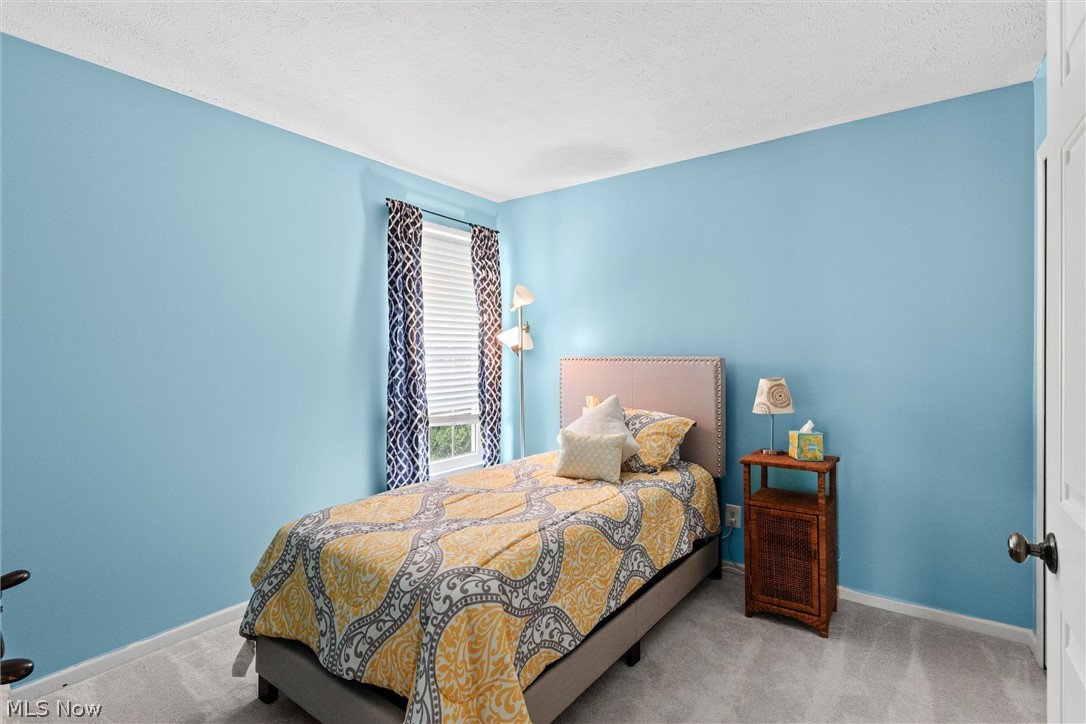 137 Colonial Drive Painesville OH 44077