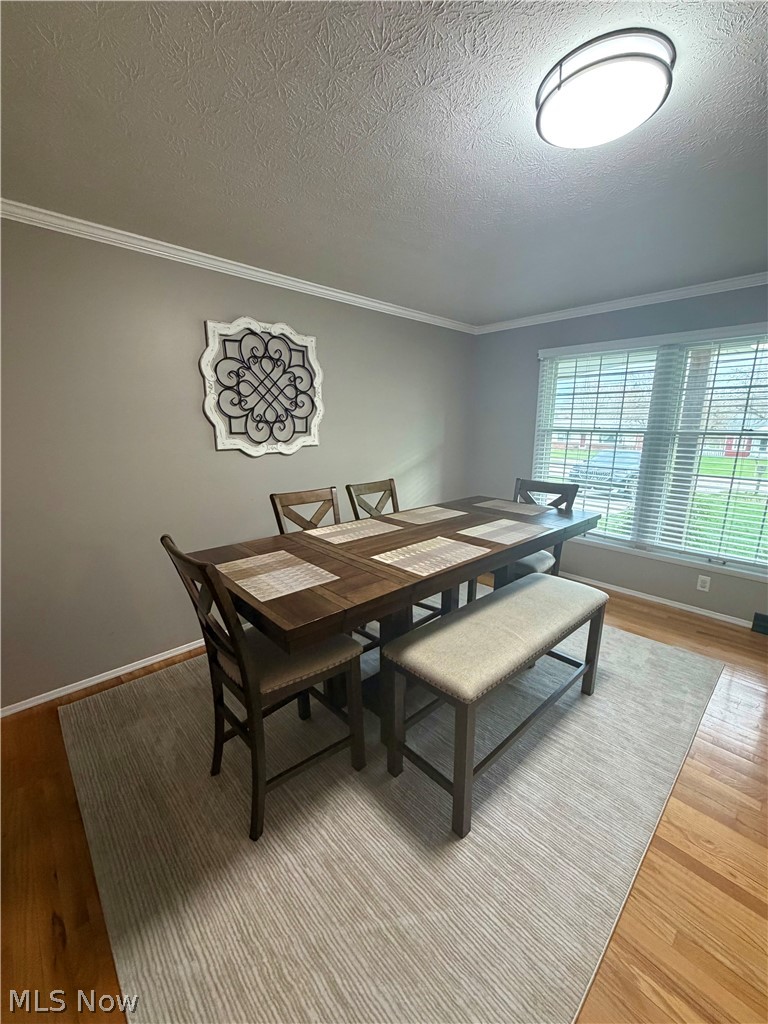 497 Southeast Avenue Tallmadge OH 44278