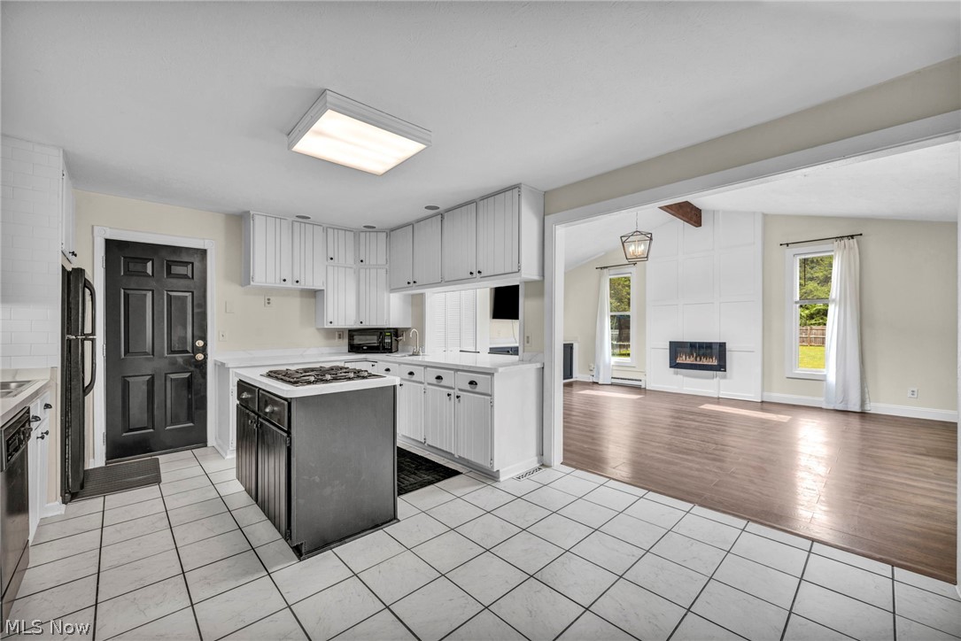 57 Coventry Drive Painesville OH 44077