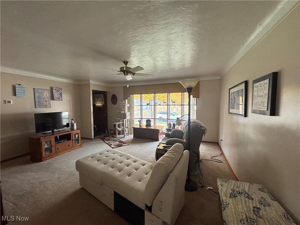 11019 Westborough Road Parma Heights OH 44130