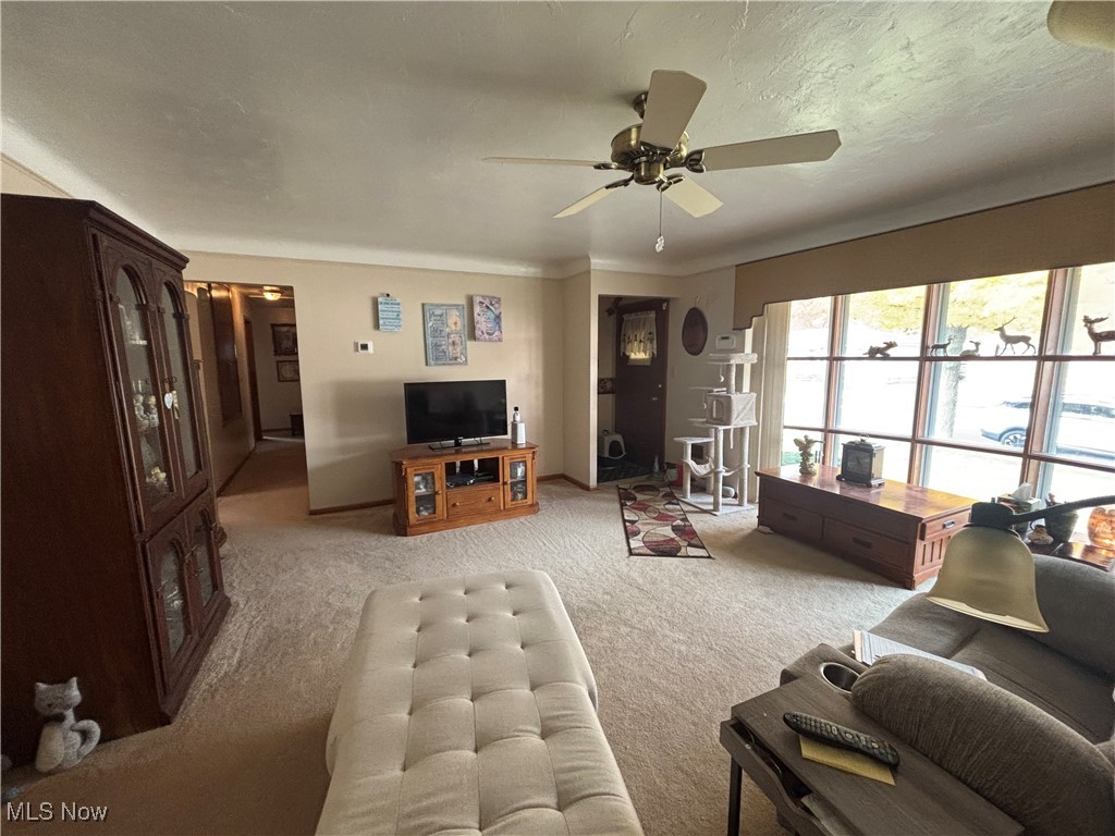 11019 Westborough Road Parma Heights OH 44130