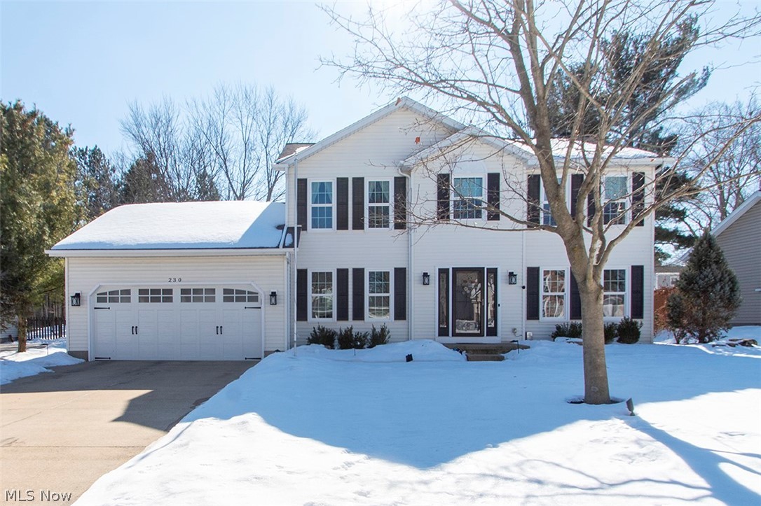 Medina OH, 230 Simon Lane