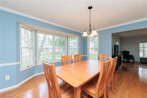 32263 Plumbrook Court Avon Lake OH 44012