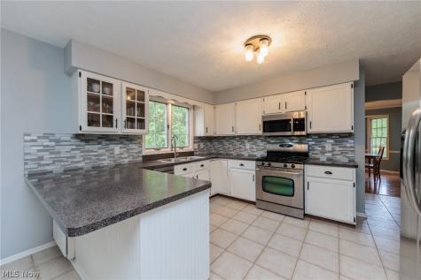 32263 Plumbrook Court Avon Lake OH 44012