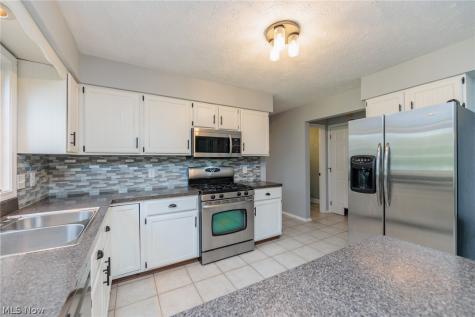 32263 Plumbrook Court Avon Lake OH 44012