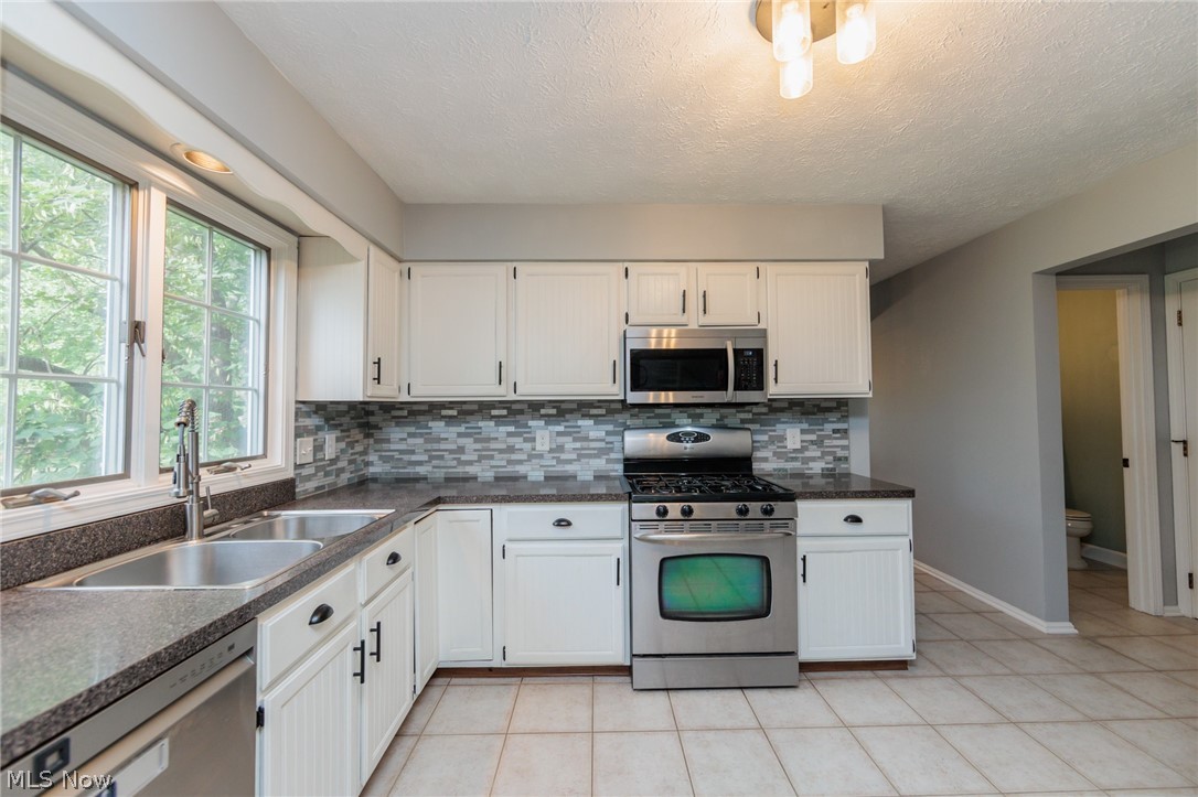 32263 Plumbrook Court Avon Lake OH 44012