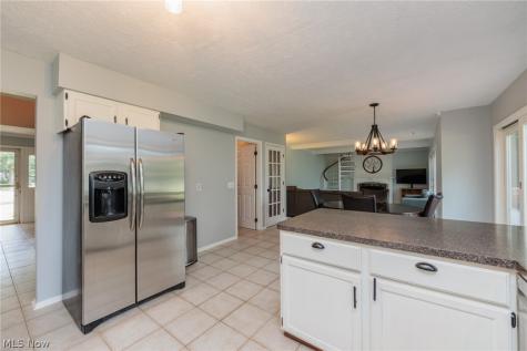 32263 Plumbrook Court Avon Lake OH 44012