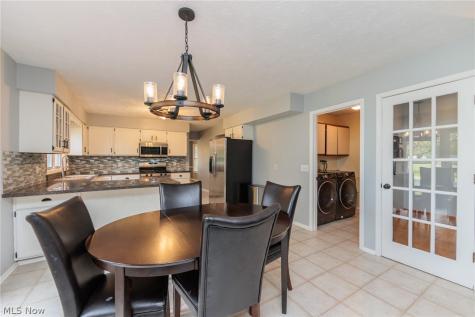 32263 Plumbrook Court Avon Lake OH 44012
