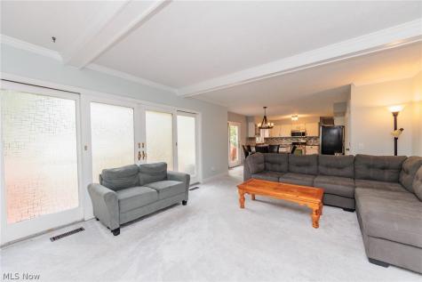 32263 Plumbrook Court Avon Lake OH 44012