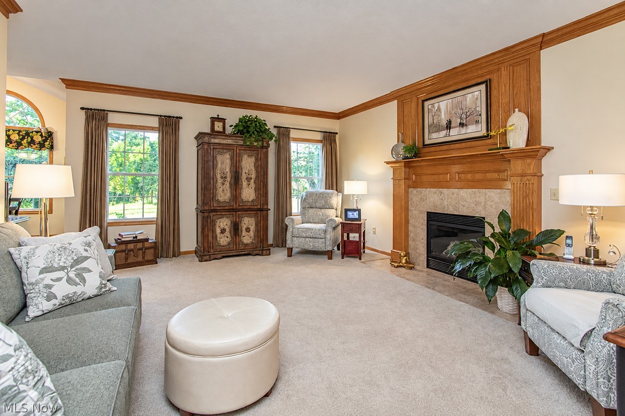 5700 Trystin Tree Drive Medina OH 44256
