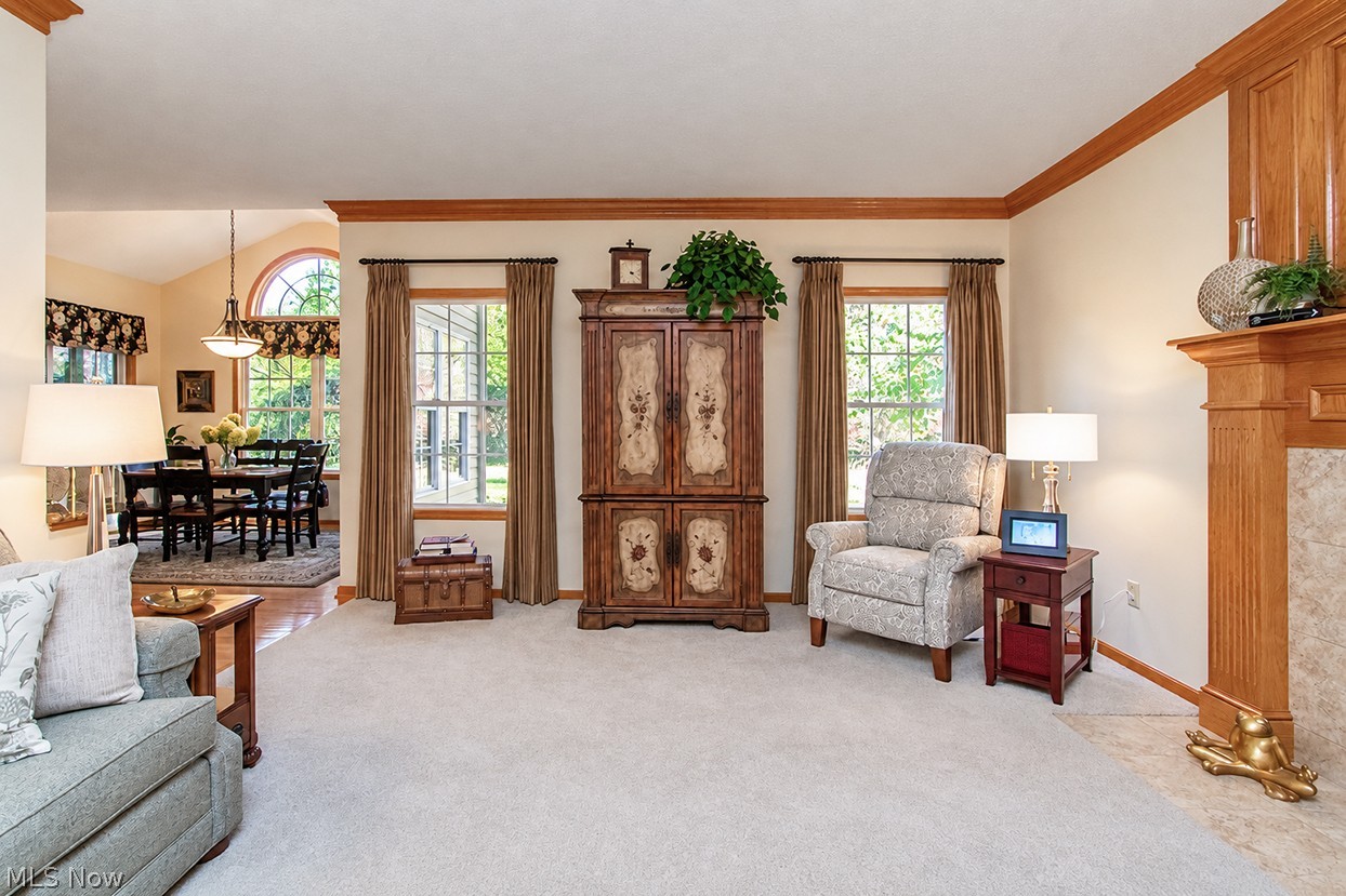 5700 Trystin Tree Drive Medina OH 44256