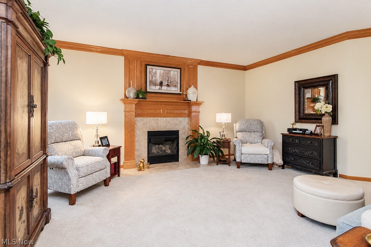 5700 Trystin Tree Drive Medina OH 44256