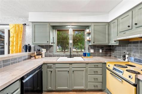 20019 Hawthorne Lane Strongsville OH 44149