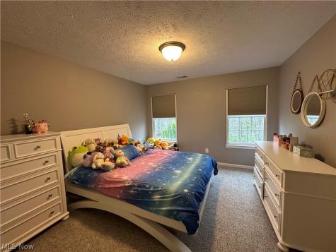 10363 Redbud Drive Aurora OH 44202