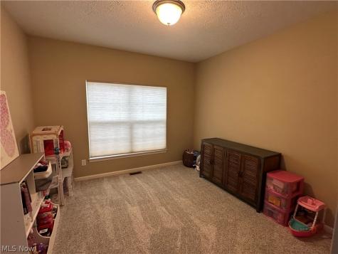 10363 Redbud Drive Aurora OH 44202