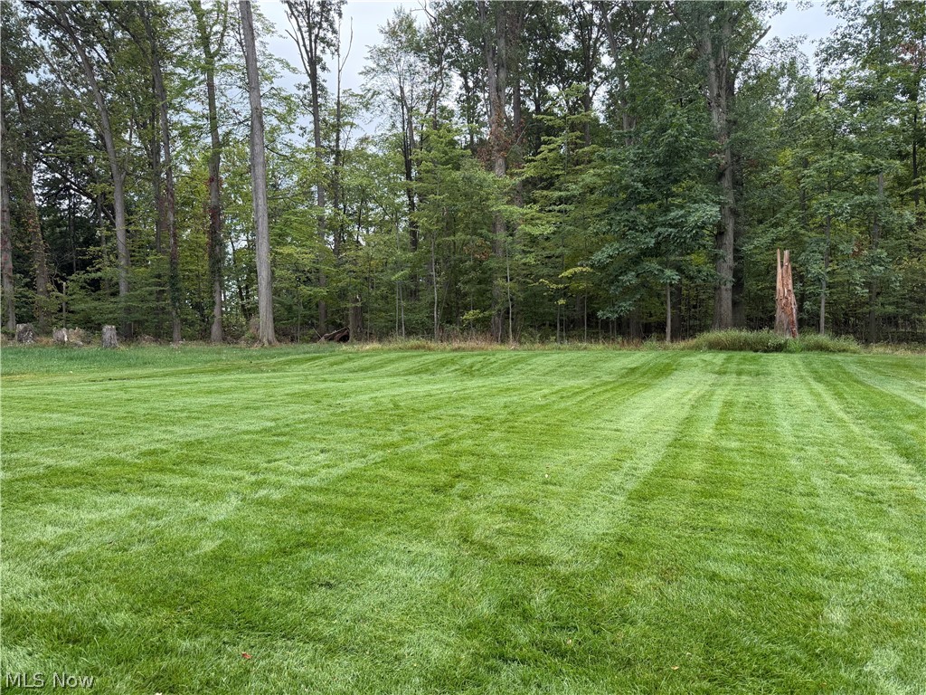 1164 Fox Run Grafton OH 44044