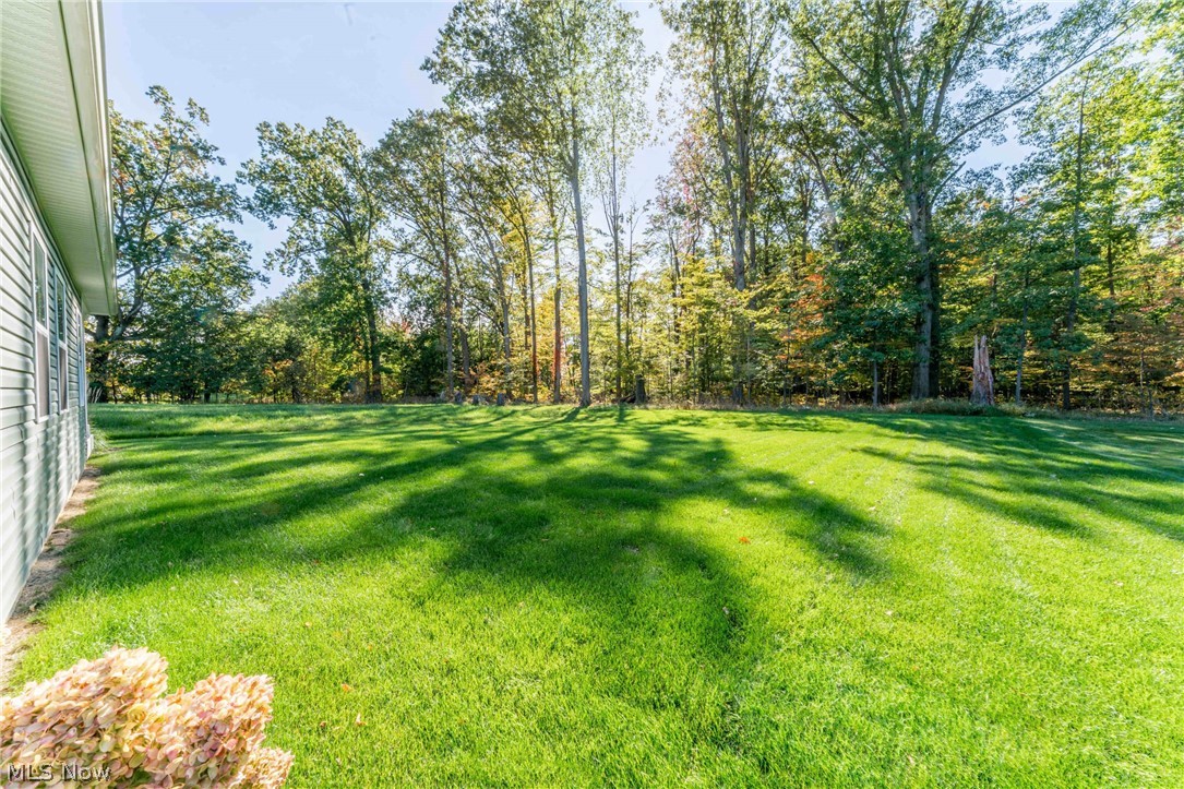 1164 Fox Run Grafton OH 44044