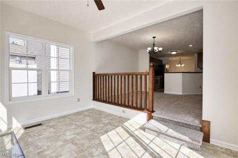 29116 Pembrooke Boulevard Olmsted Twp OH 44138
