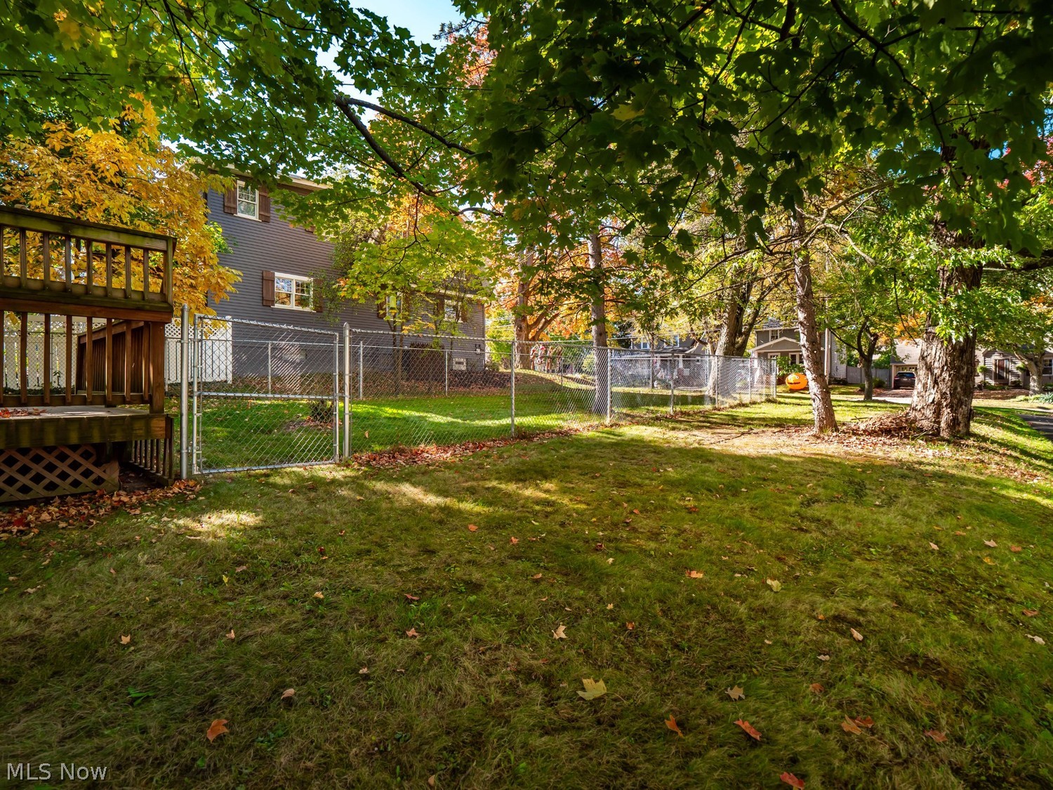 210 Frederick Street Medina OH 44256