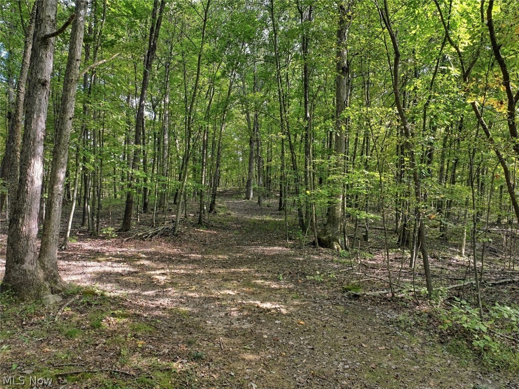 15645 Township Road 287 SE Glouster OH 45732