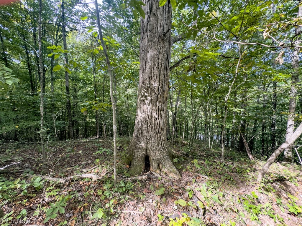 15645 Township Road 287 SE Glouster OH 45732