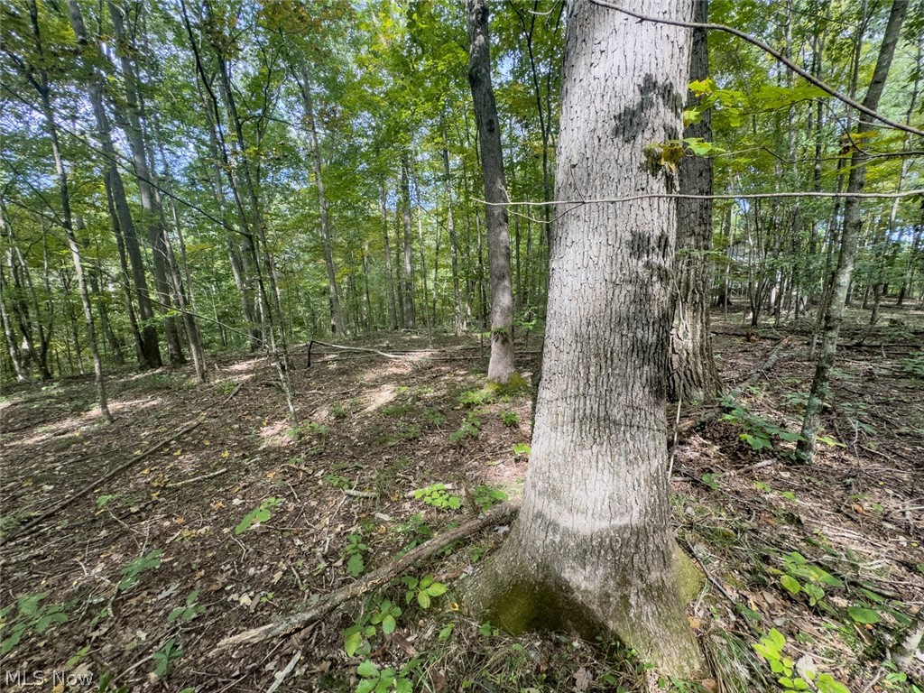 15645 Township Road 287 SE Glouster OH 45732