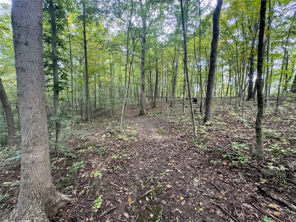 15645 Township Road 287 SE Glouster OH 45732